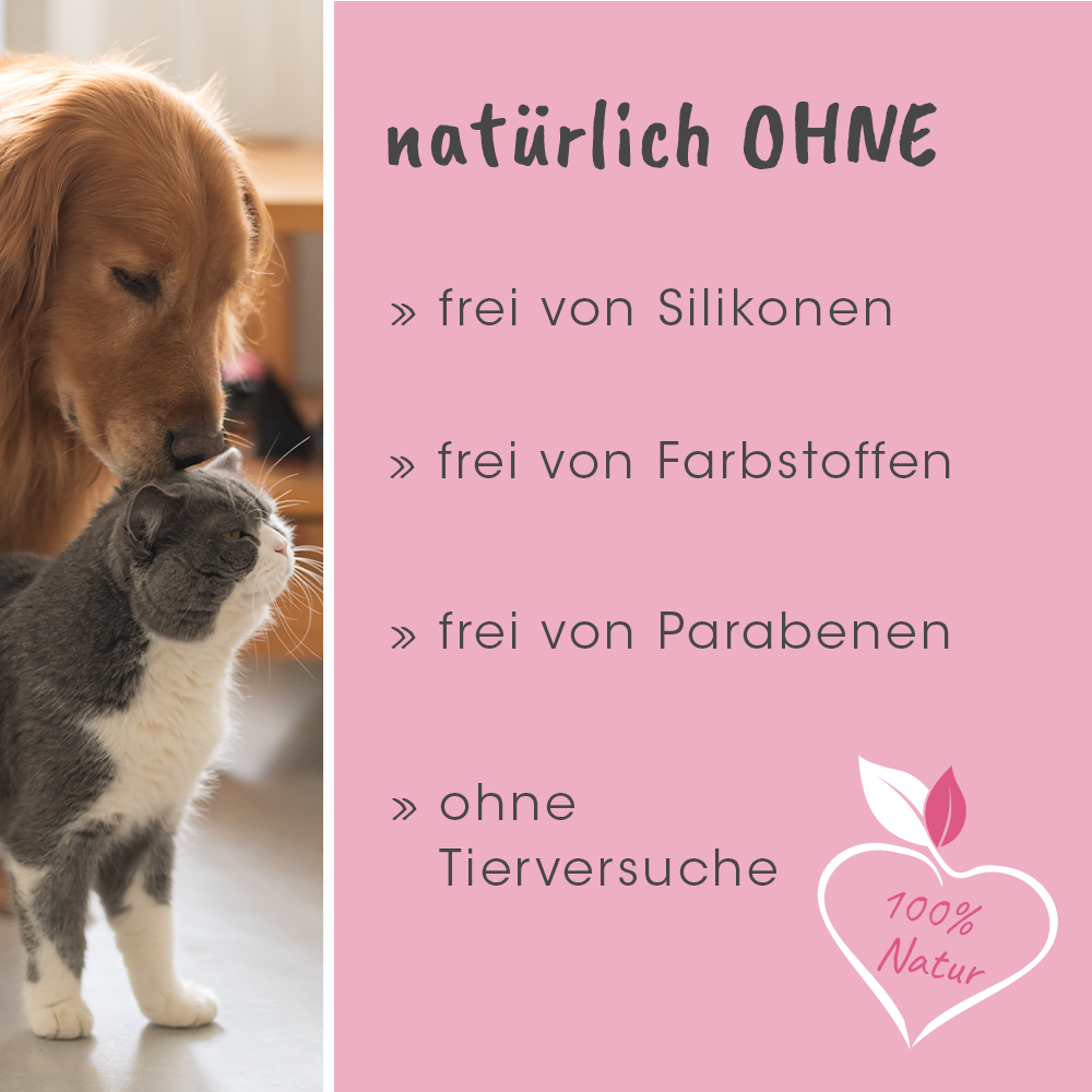 Grusskarte, Post, Hund, Haustier, Katze