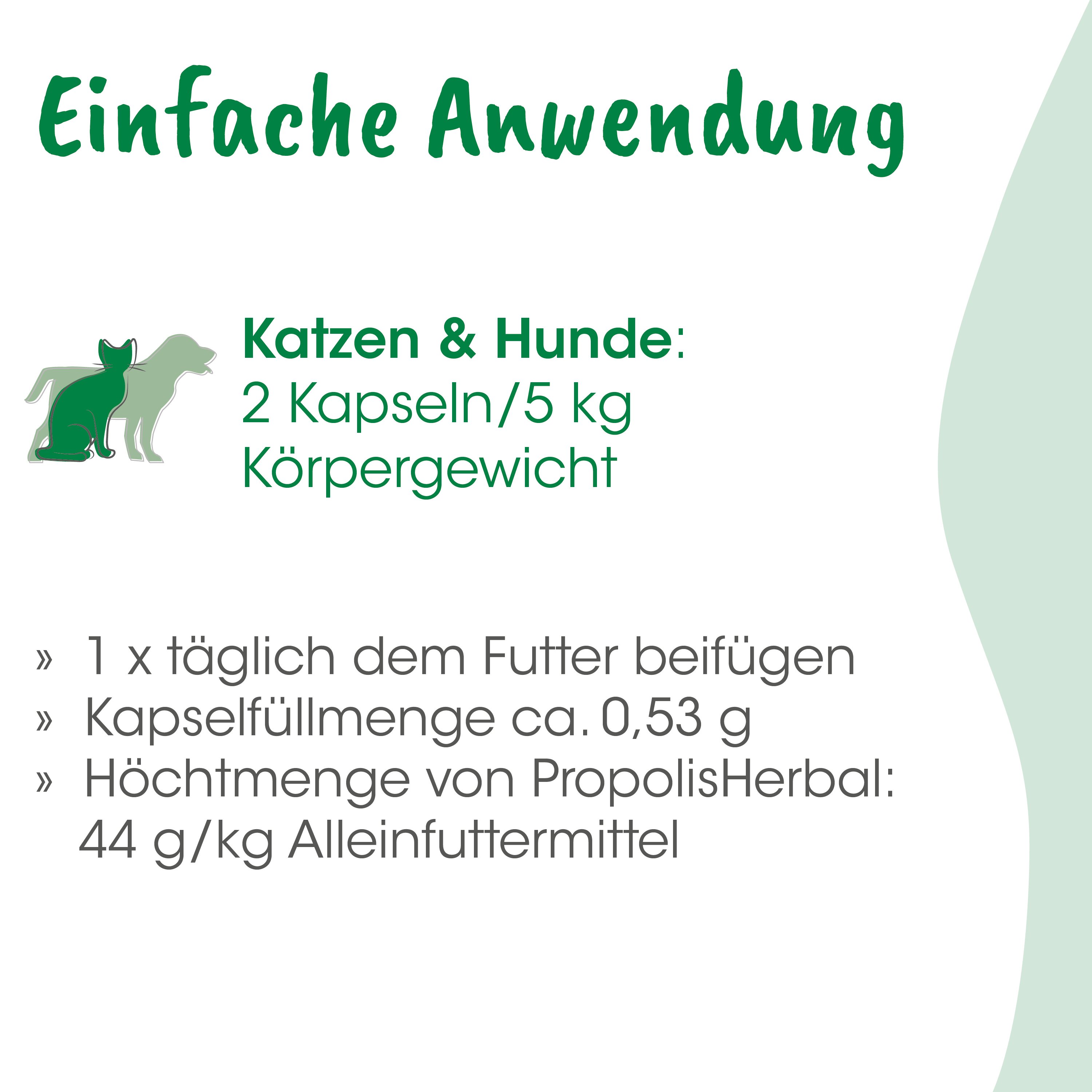 Katzen & Hunde, Kapseln, Körpergewicht, Tiernahrung, PropolisHerbal
