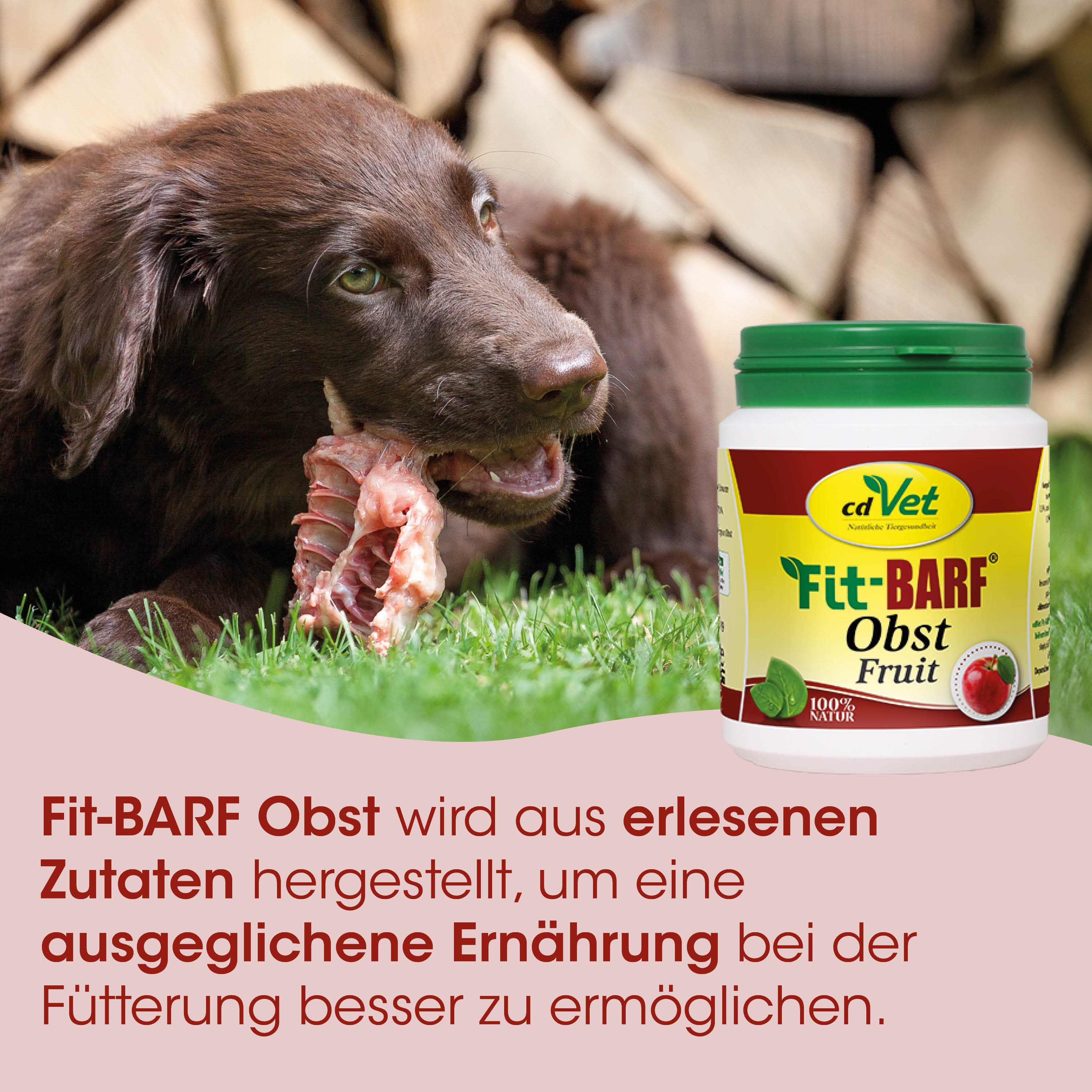 Hund, Knochen, Hunde-Nahrung, Vitamin-Ergänzung, Marmeladenetikette