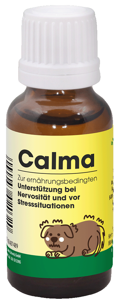 Hund, Beruhigungsmittel, Nahrungsergänzung, Nervosität, Stresssituationen