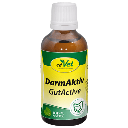 Darmöl, Darmaktiv, Gut active, Tierarzt Tropfen, Naturtropfen