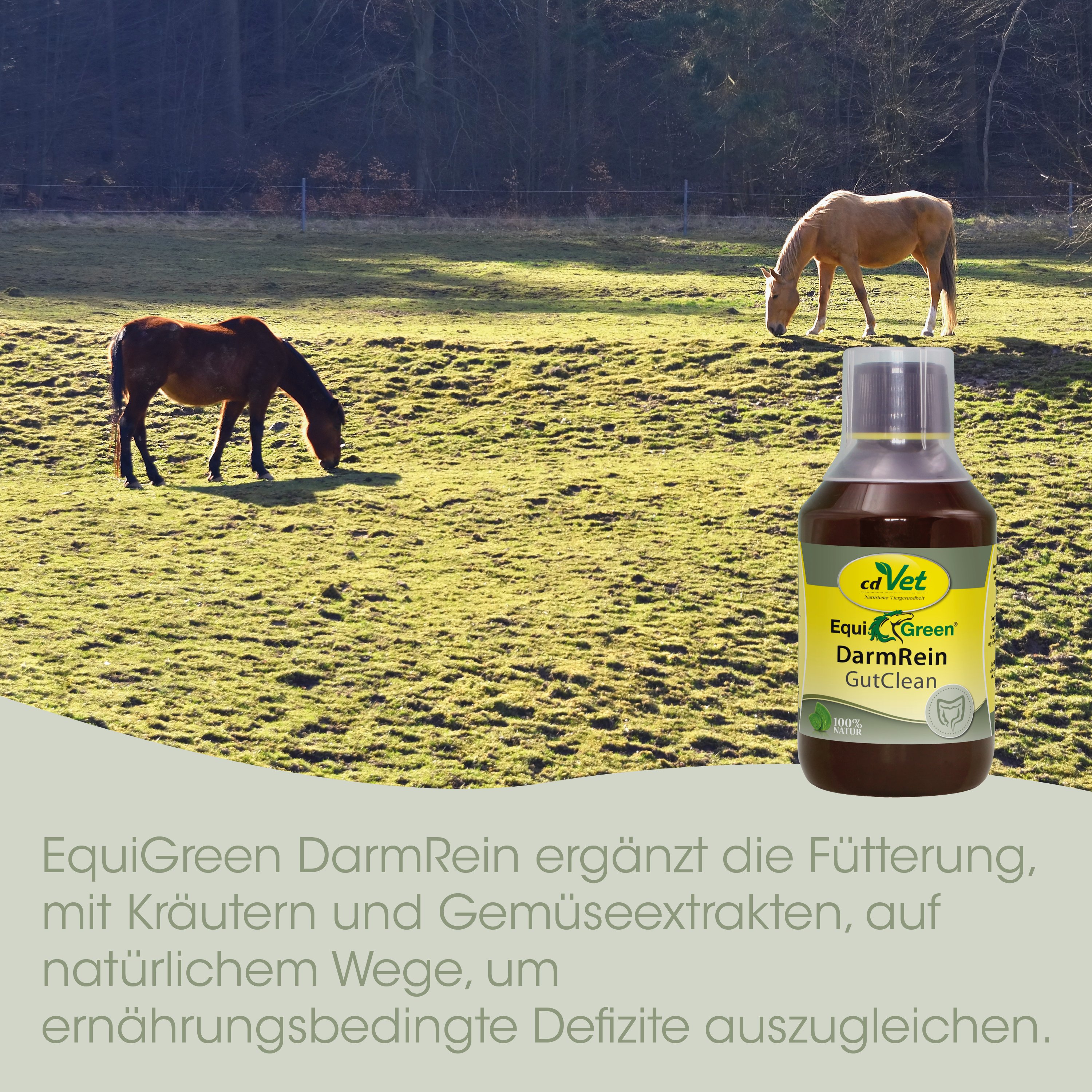 EquiGreen DarmRein 250 ml