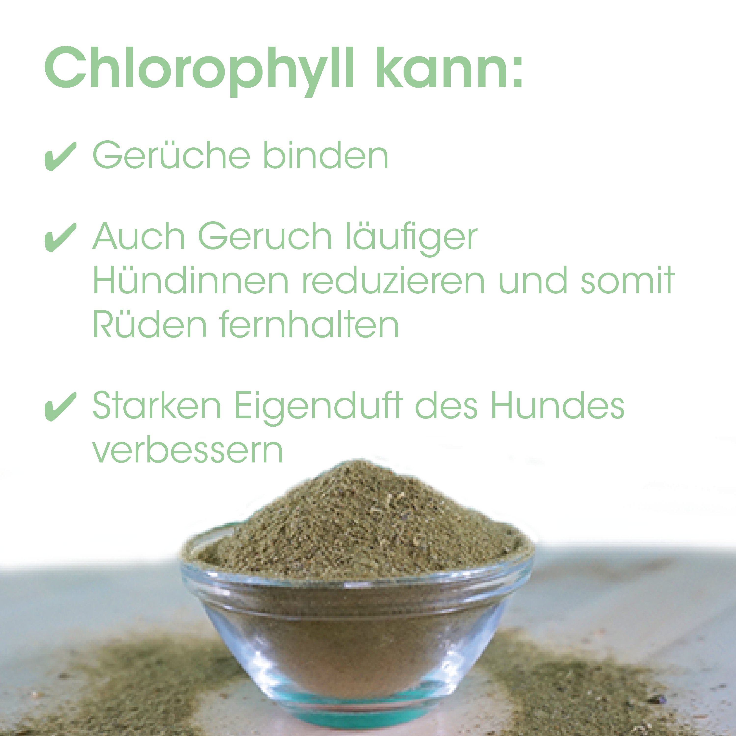 Kräuterpulver, Grüner Tee, Pflanzenpulver, Gewürz, Glasgefäß