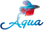 Aquaristiek