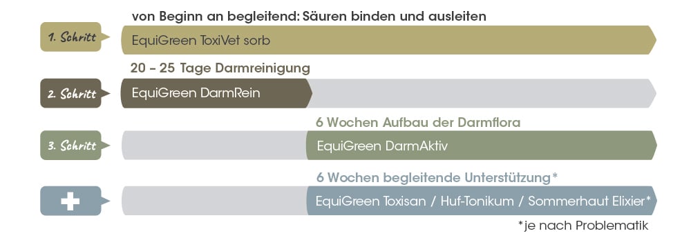 Darmrein, Darmaktiv, Darmflora, Toxisan, Elixier