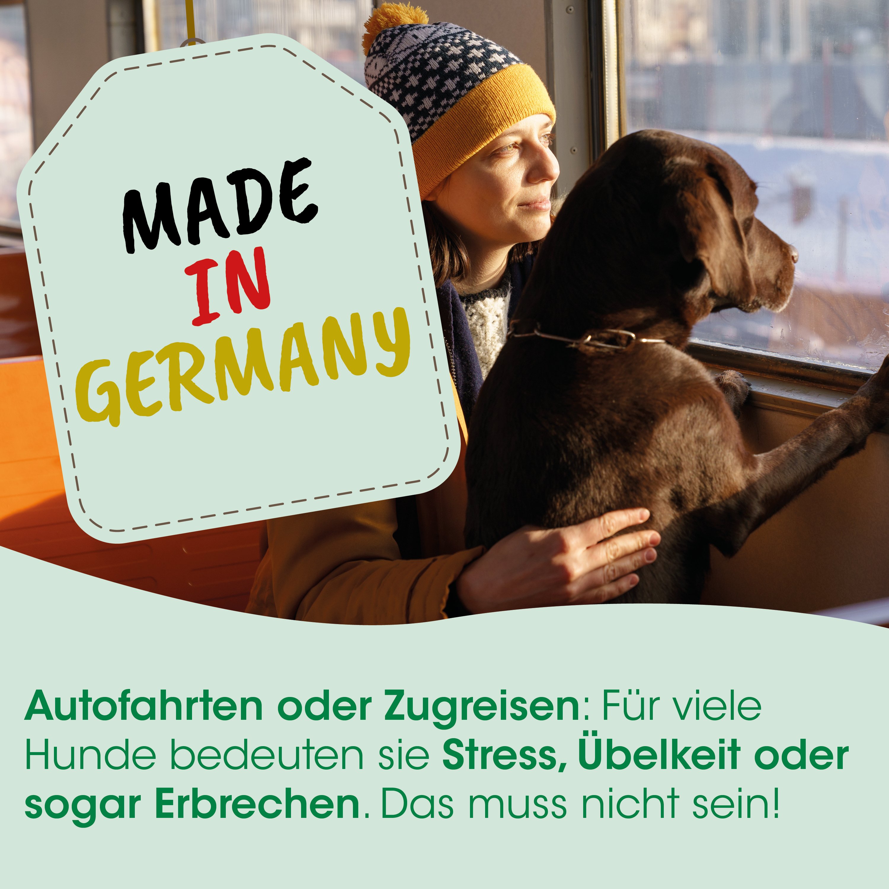 Hund, Hund im Bus, brauner Hund, Winterschal, Frau mit Hund