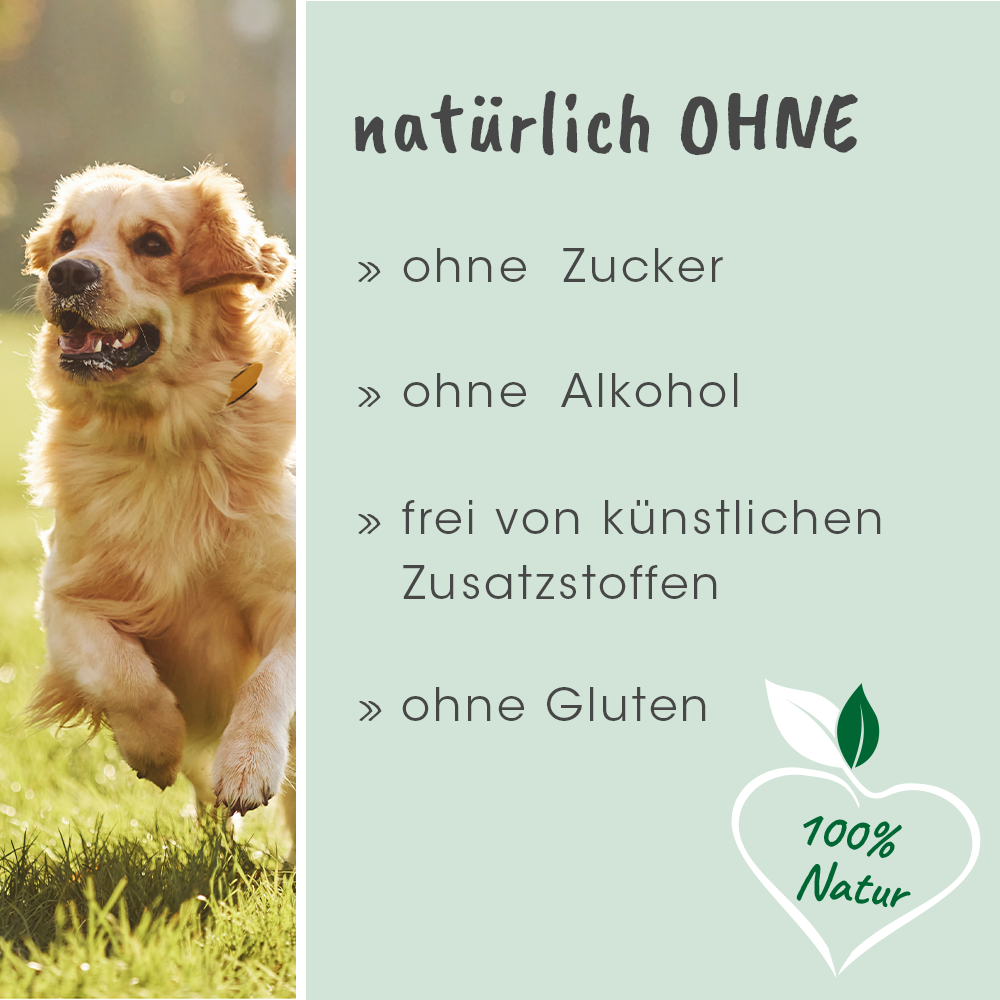 Tier, Hund, Säugetier, Haustier