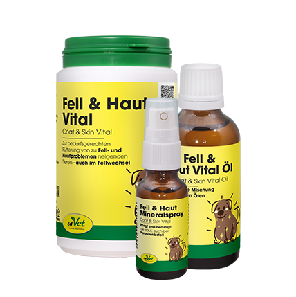 Kräuterig, Kräuter, Pflanze, Würzen, Sirup