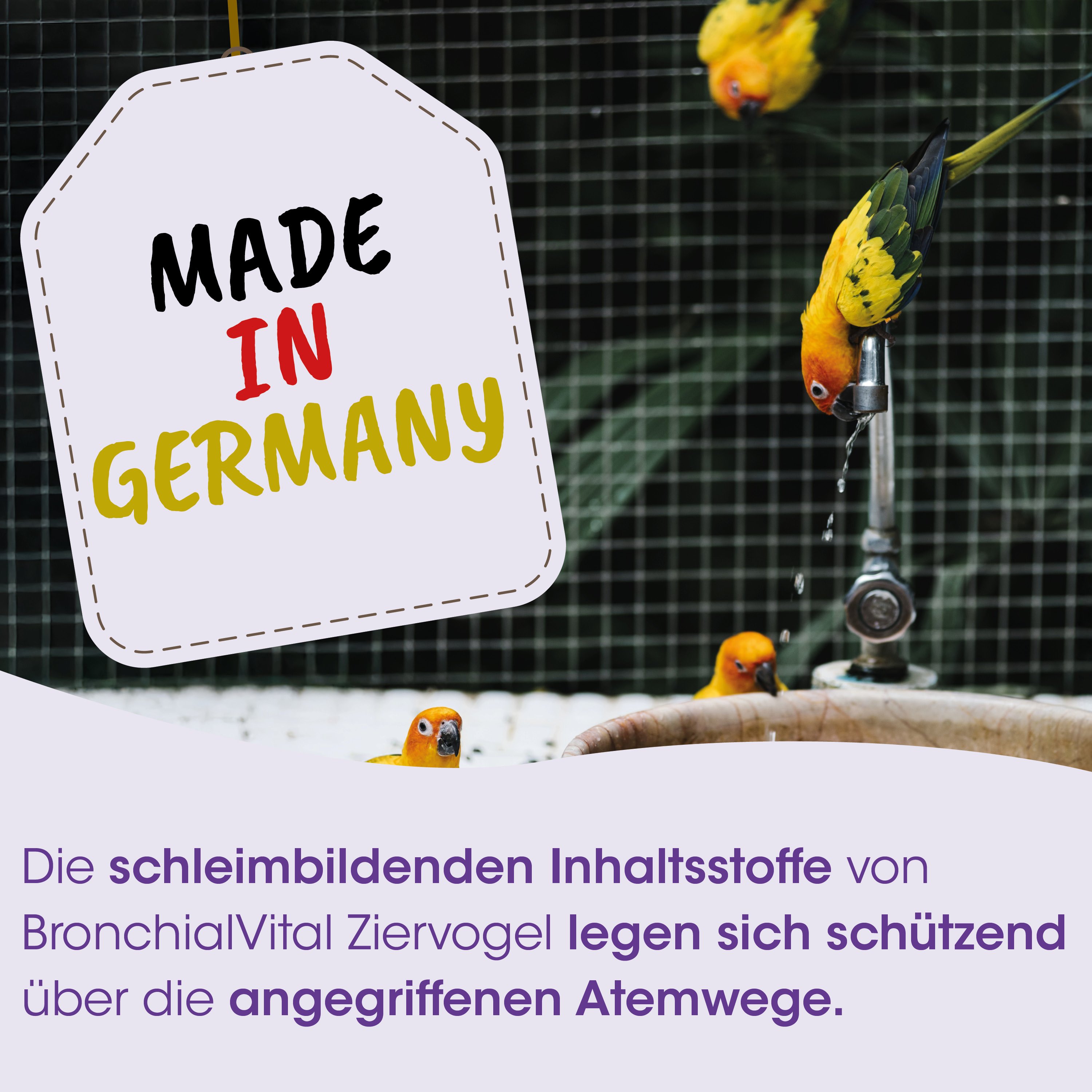 papagei, badewanne, wasserzufuhr, voliere, made in germany