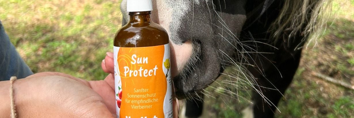 Sonnencreme, Sonnenschutz, Flasche, Medikamentenflasche, Sun Protect