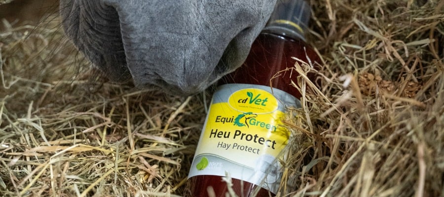 Heu, Stroh, Tierarztflasche, Heu Schutz, äquines Ergänzungspräparat