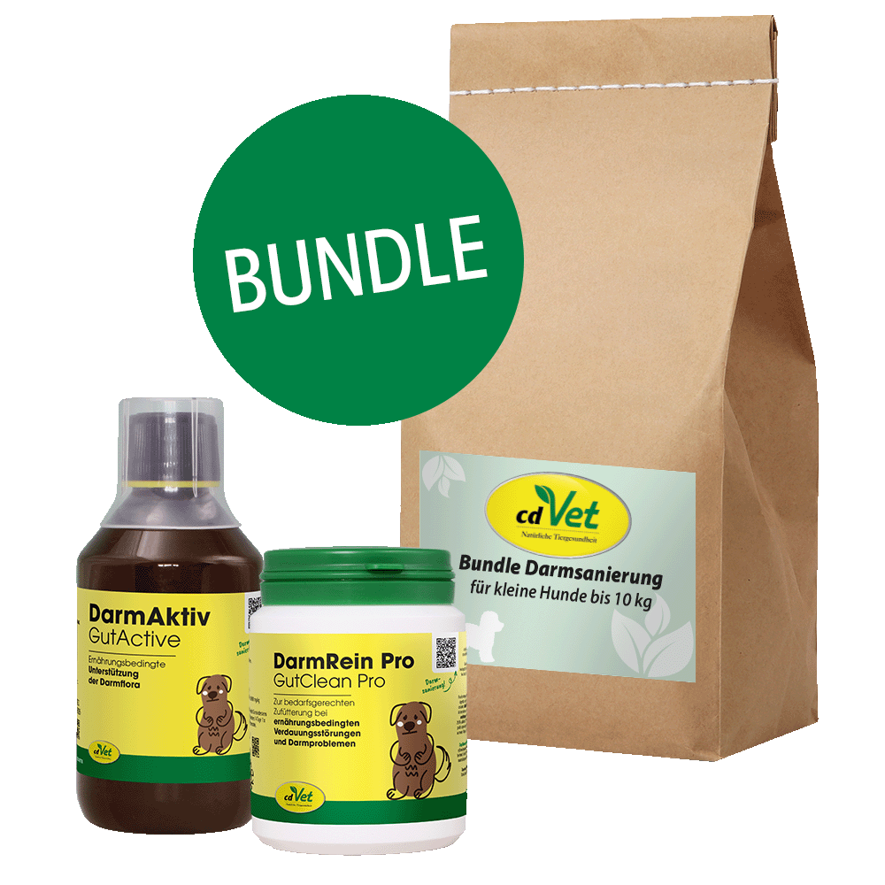 Tiernahrung, Darmgesundheit, DarmActivo, Bundle, Hundesupplement