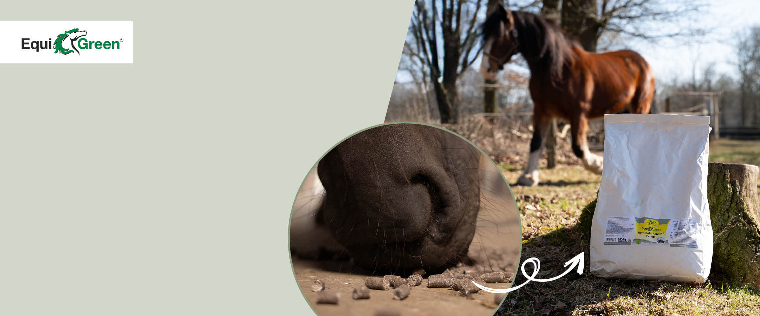 Tasche, Tier, Pferd, Säugetier