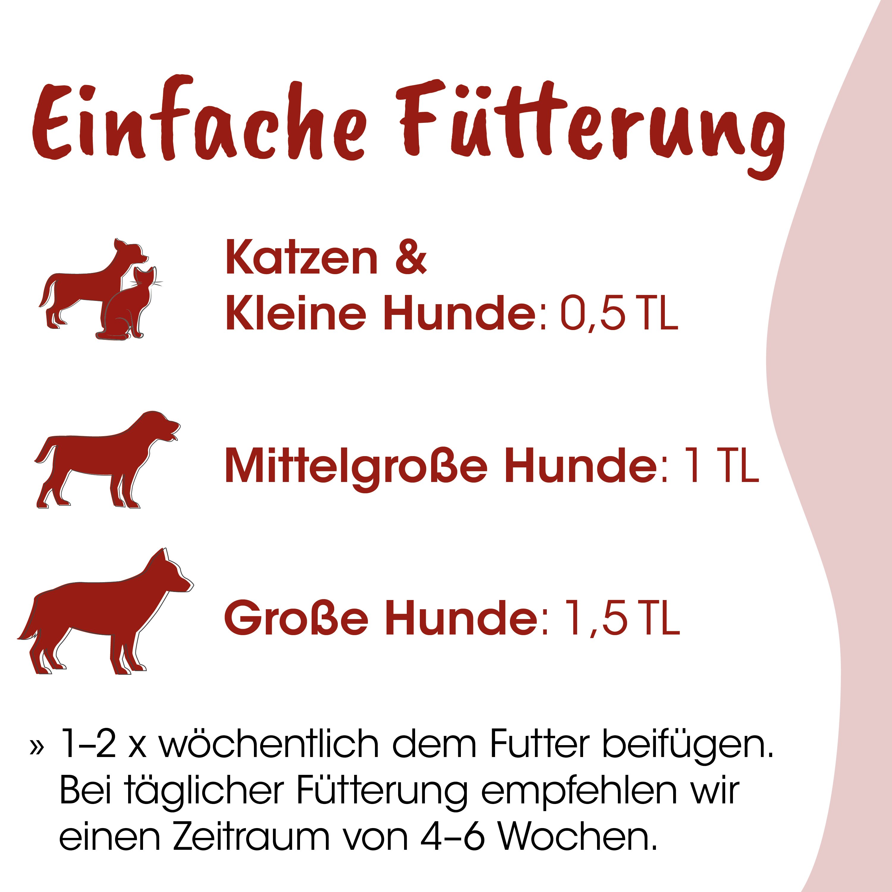 hunde futter, hundefutter, katze, hundebabys, futterdose