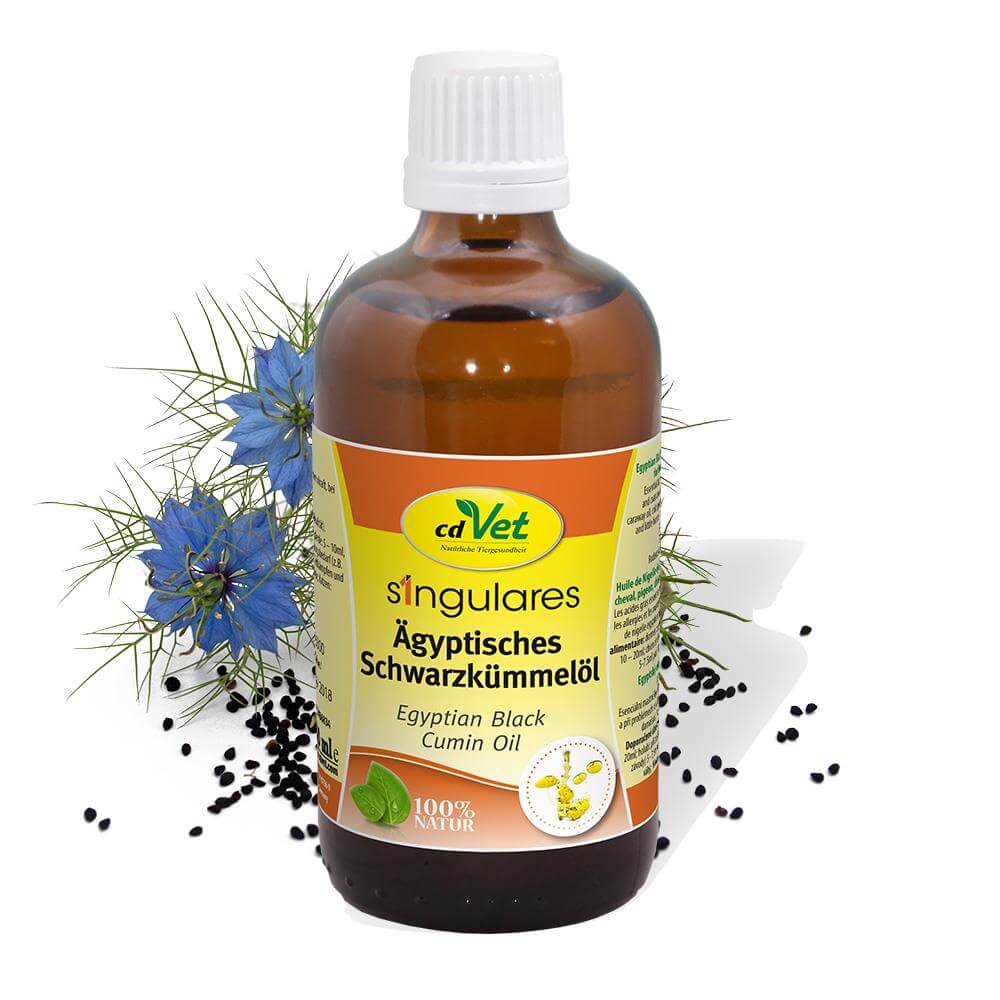 Singulares Ägyptisches Schwarzkümmelöl