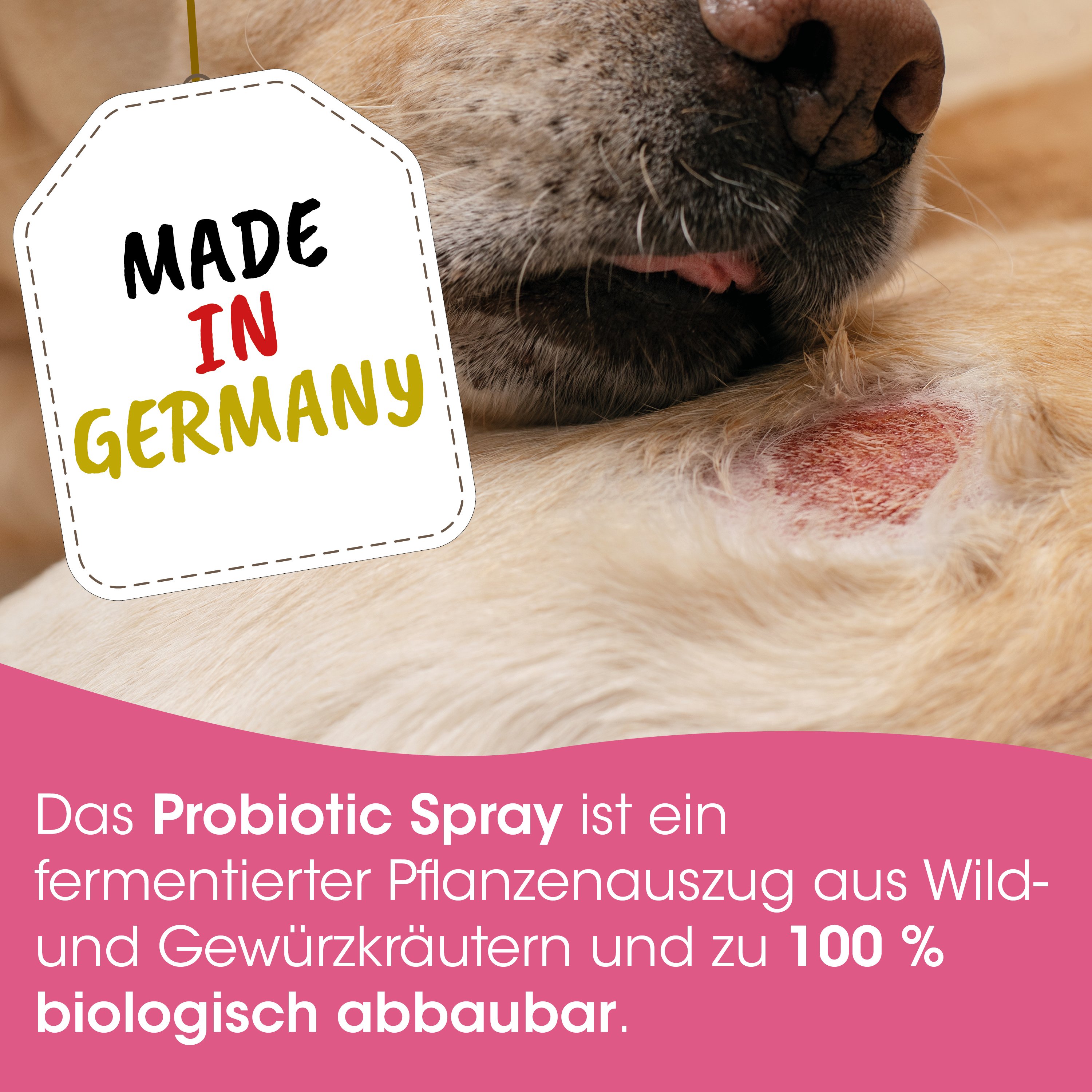 made in germany, hund, medikament, salbe, hautreiz