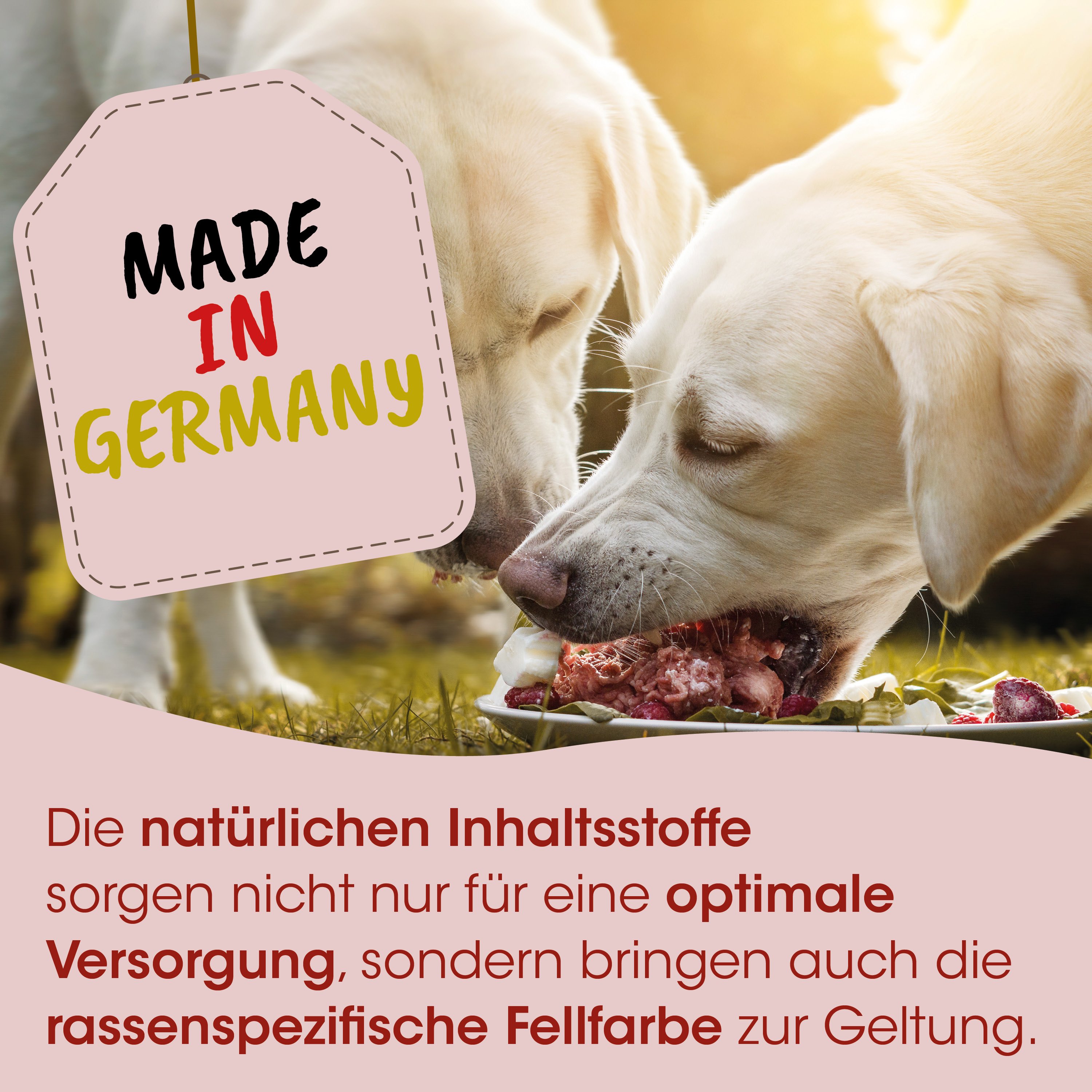 Hundfutter, Hundefutter, Rohes Fleisch, Rind, Made in Germany