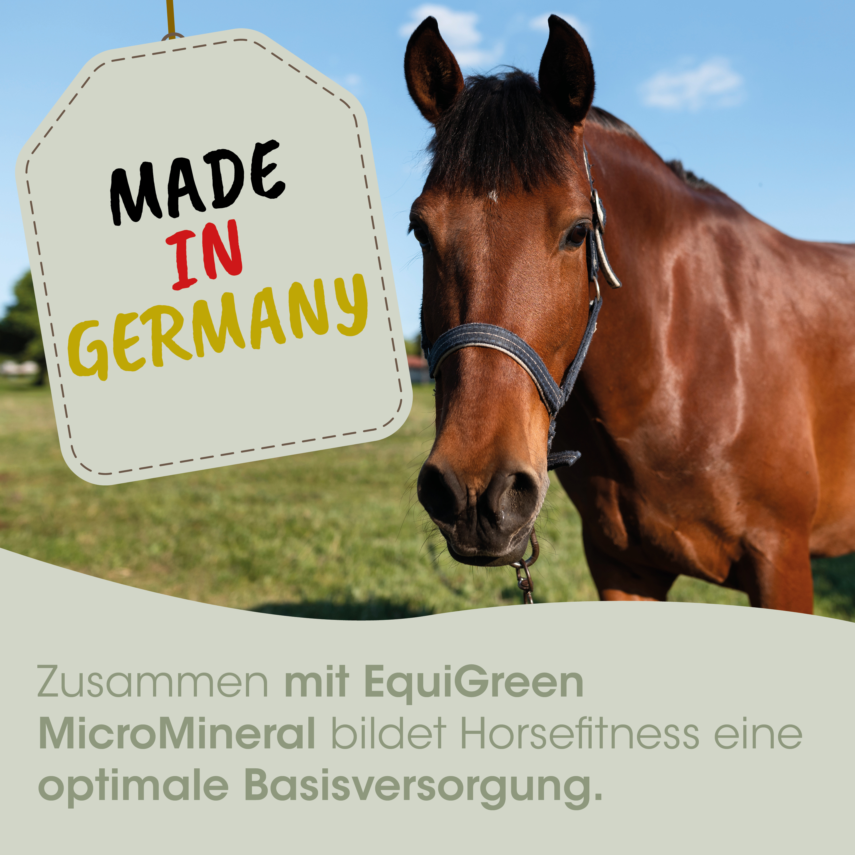 pferd, zügel, braun, anhaenger?, made in germany