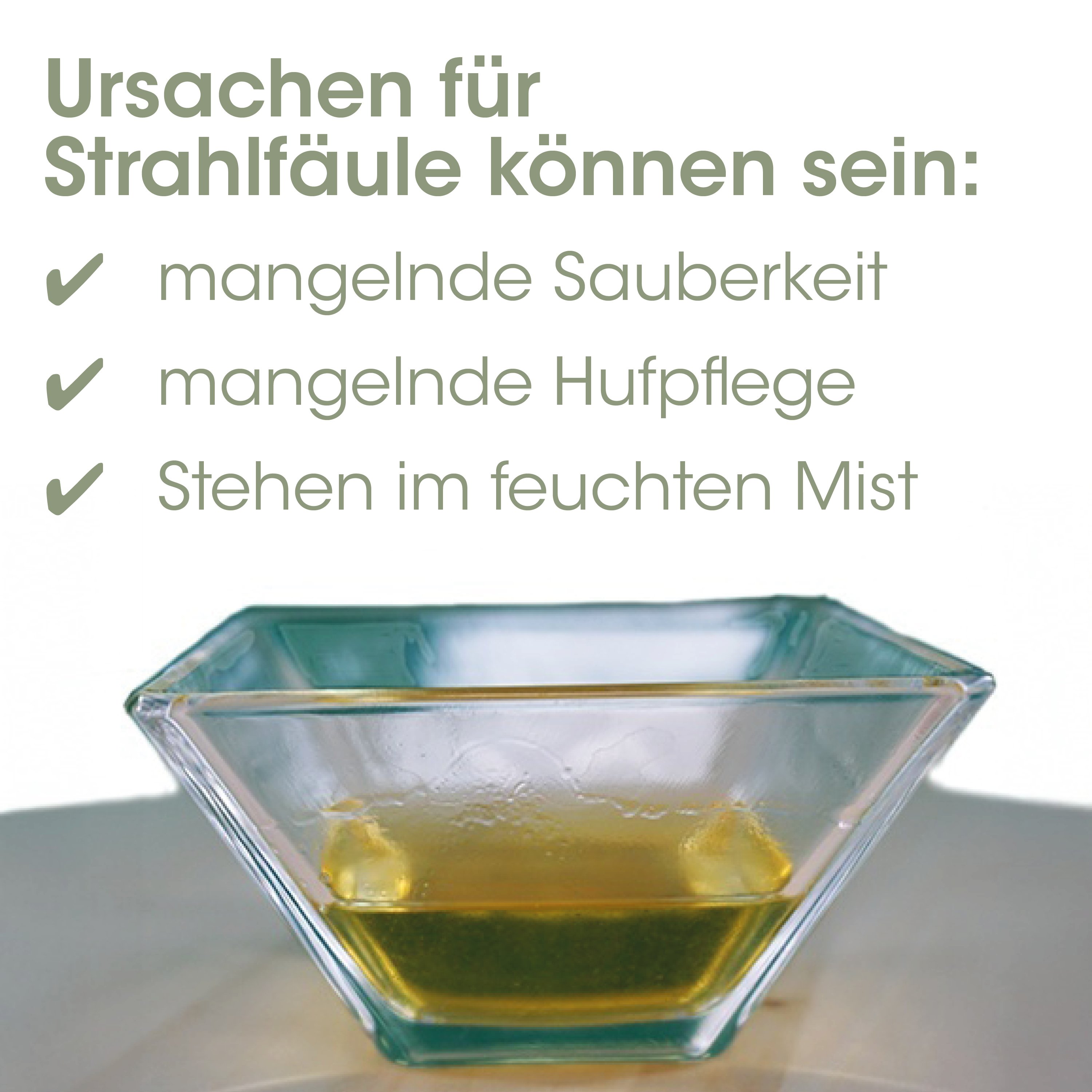 glas, schale, glas-schale, gelb, quadratisch
