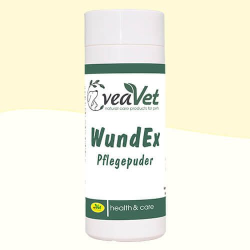 Hund-im-Urlaub_ProduktBanner-WundExPuder