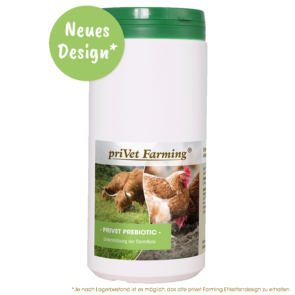 privet Prebiotic 1 kg