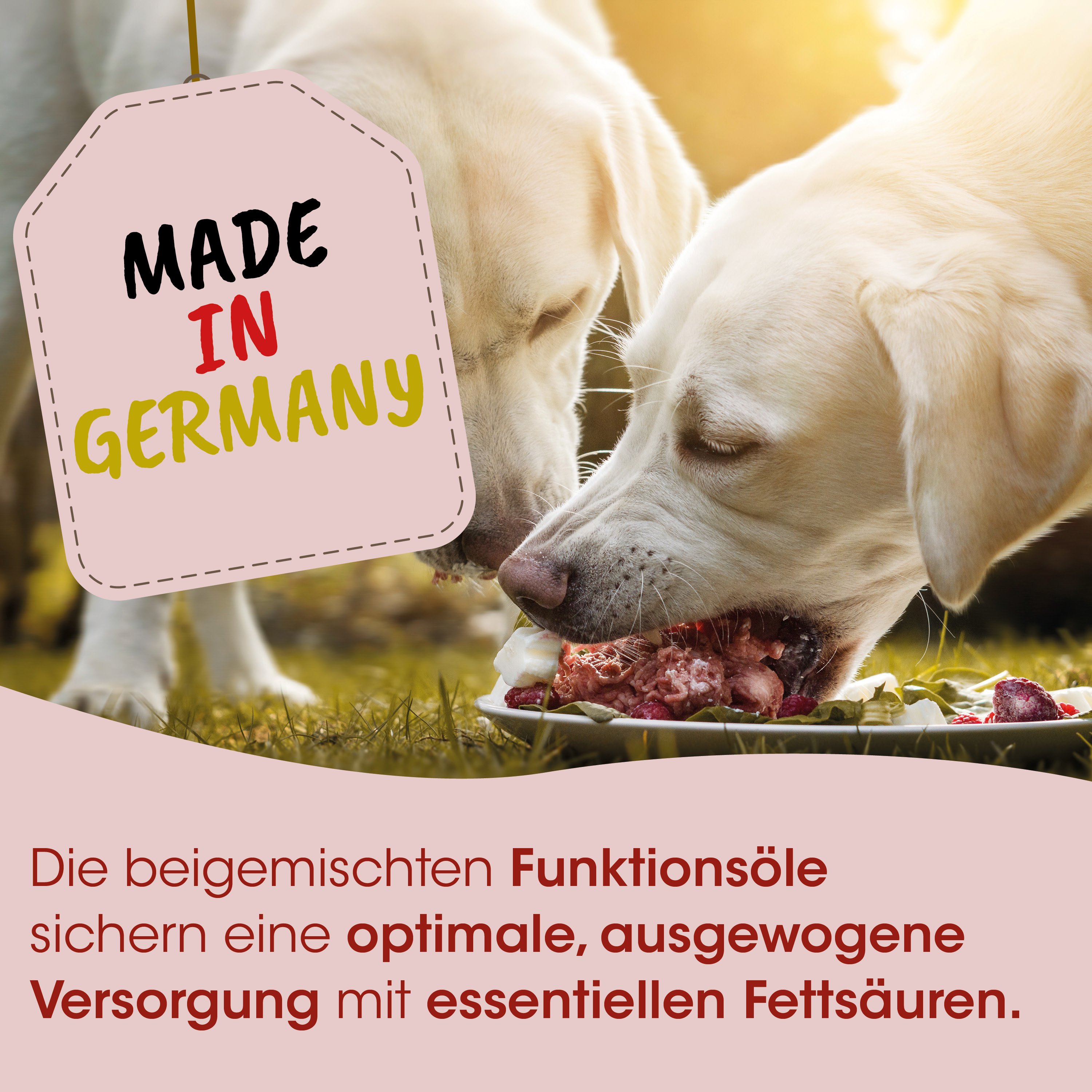 Hundefutter, Tiernahrung, Fleischstücke, Knochenbrühe, Made in Germany