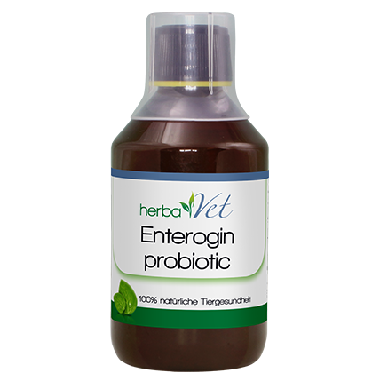 herbaVet Enterogin probiotic 250 ml