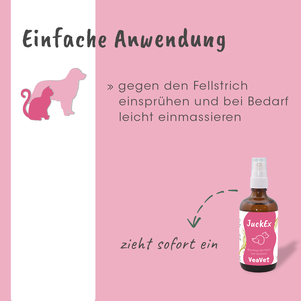Werbung, Plakat, Würzen, Sirup, Kräuterig