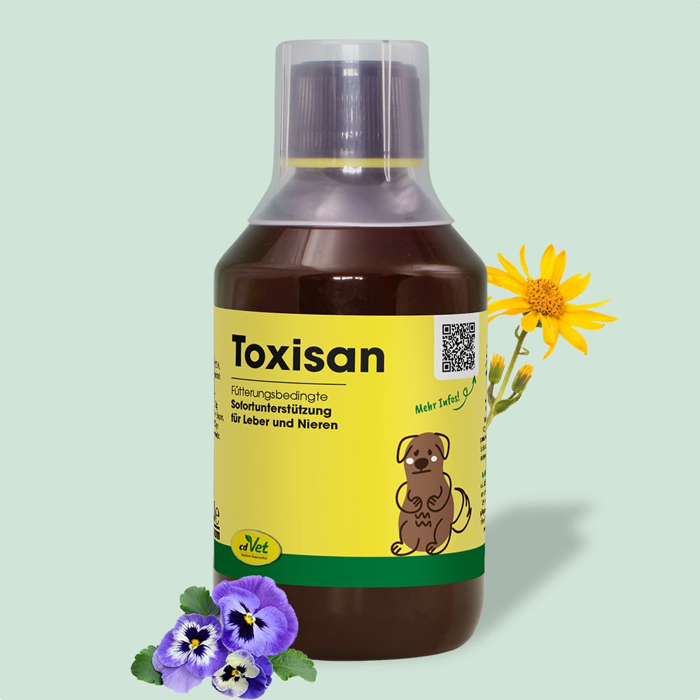 Essen, Würzen, Sirup, Blume, Pflanze