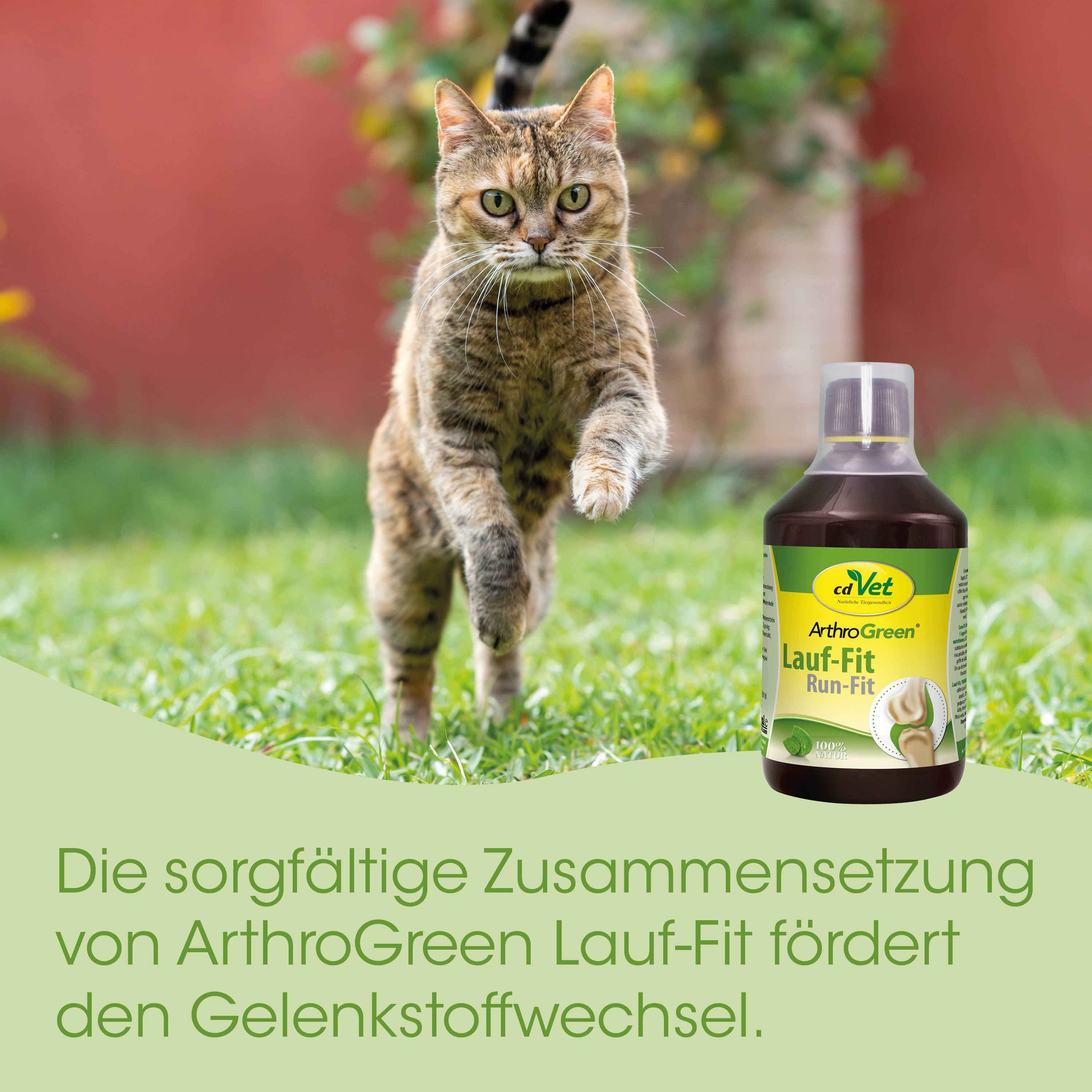 Katze, Draußen, Tiergesundheit, Medizinflasche, Werbung