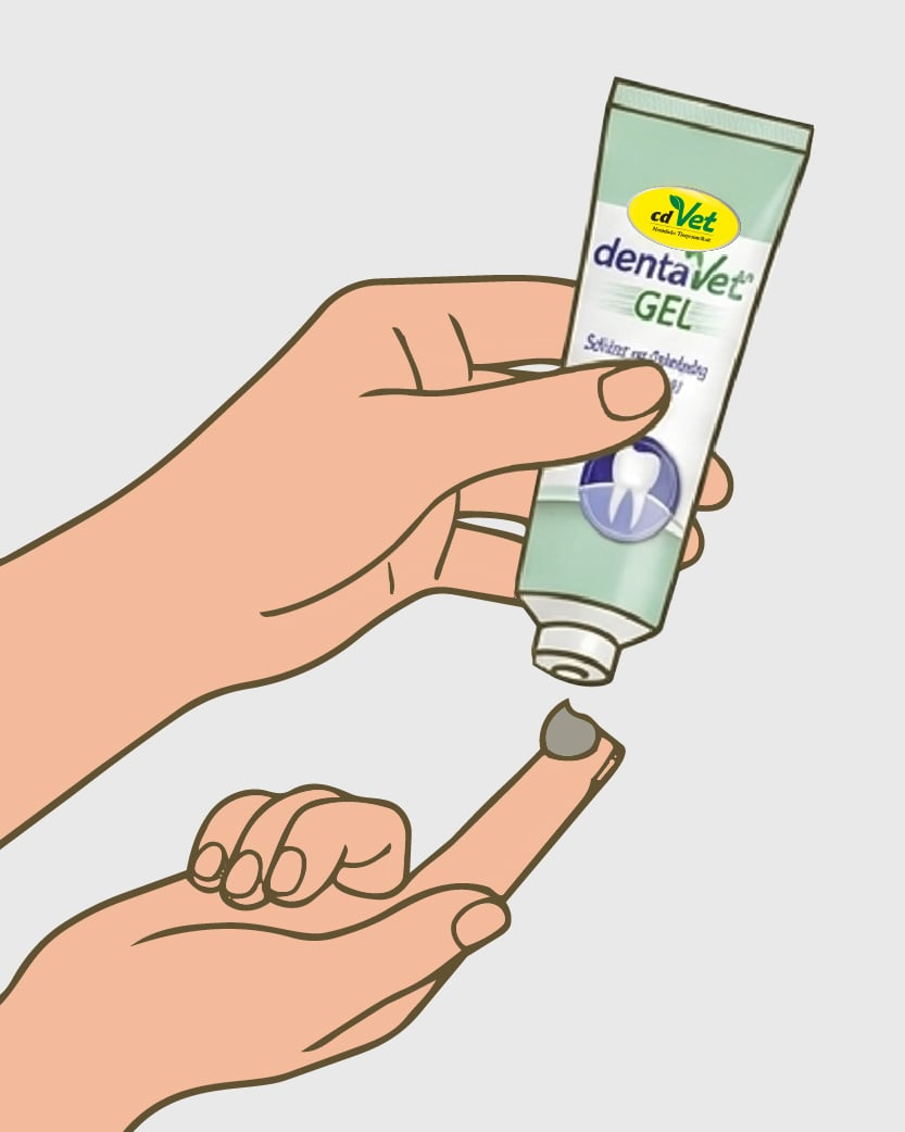 zahnpasta, gel, zahnreinigung, handpflege, dentalpflege