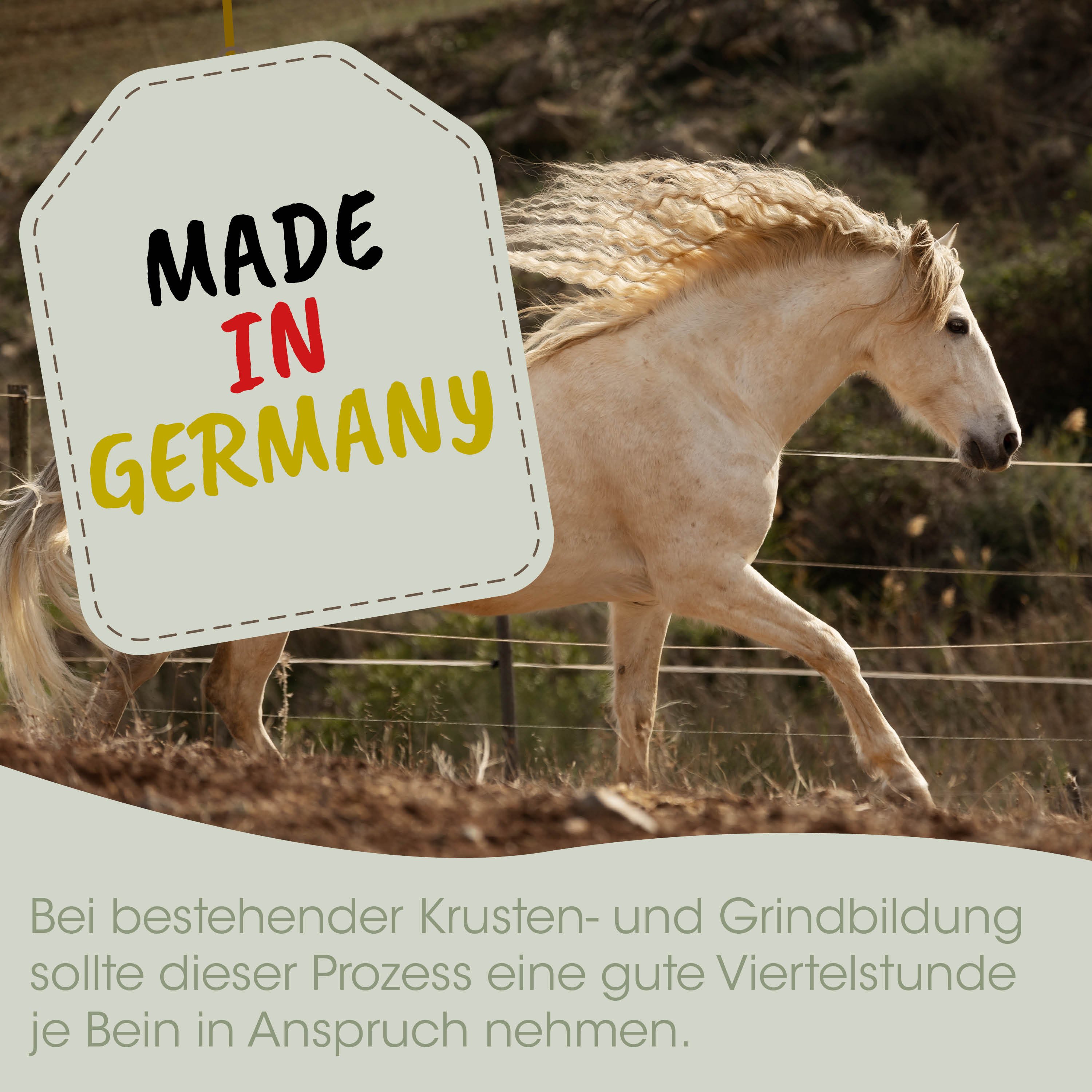 Pferd, Lampe, Made in Germany, Stute?, Hengst?