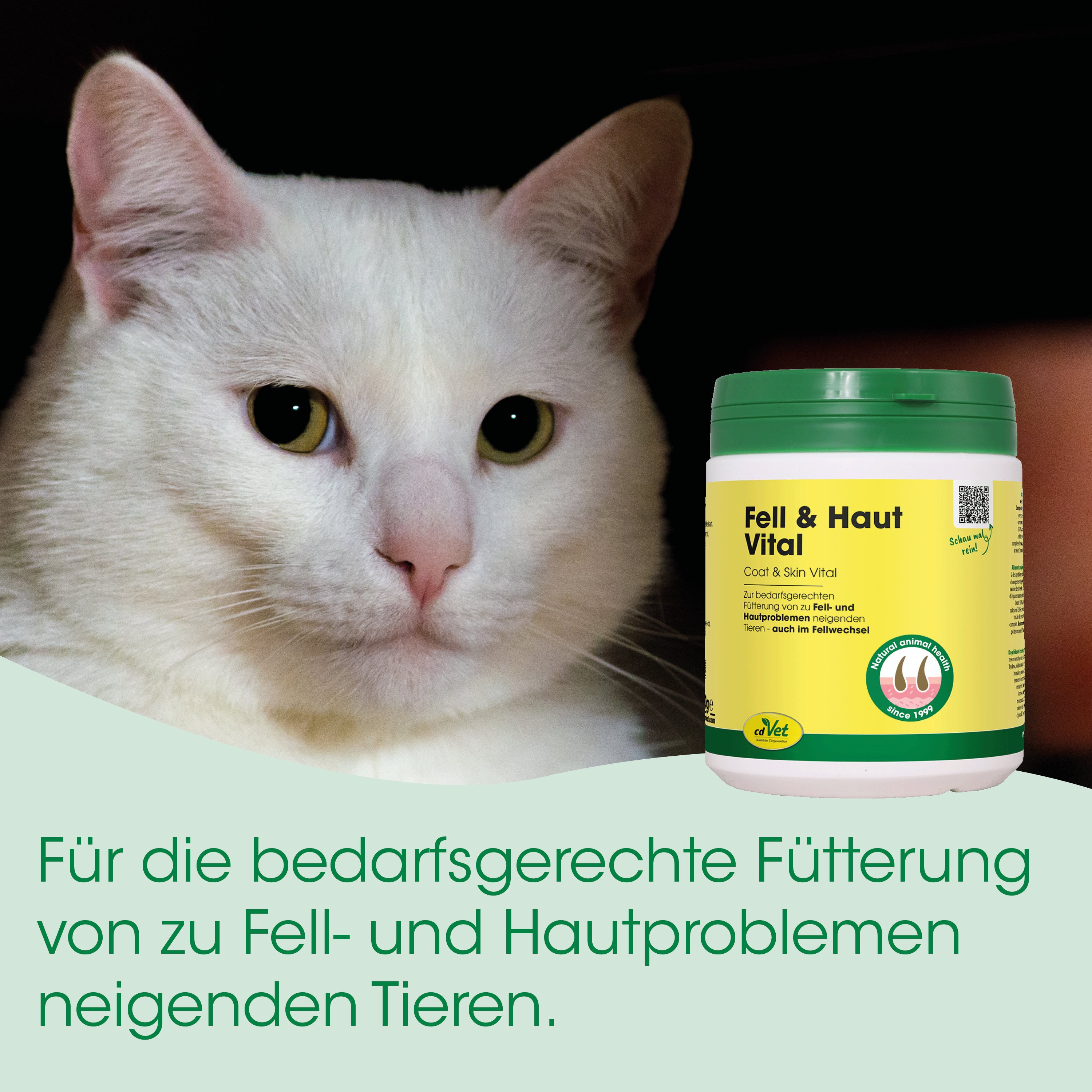 Katze, weiße Katze, Tiernahrungsergänzung, Fell- & Hautvitamin, Katzensupplement