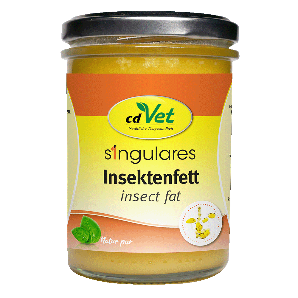 insectenfett, insect fat, tiernahrung, natural, gelb, glas jar, cdVet, singulares