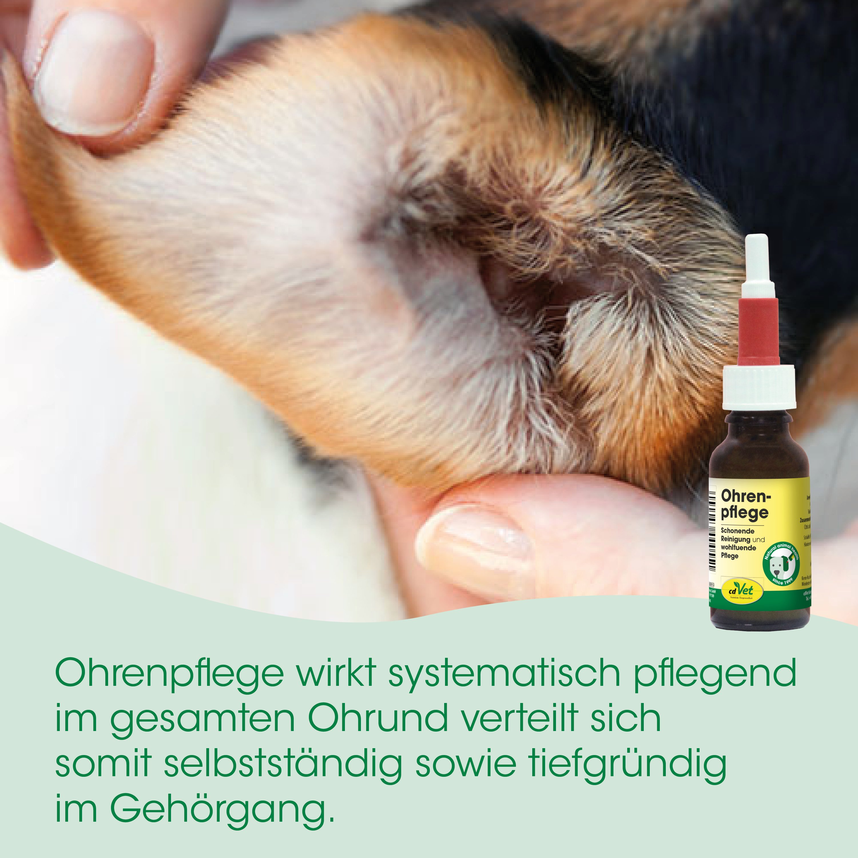 ohrenpflege, pflegemittel, ohrenreinigung, petcare, tropferflasche
