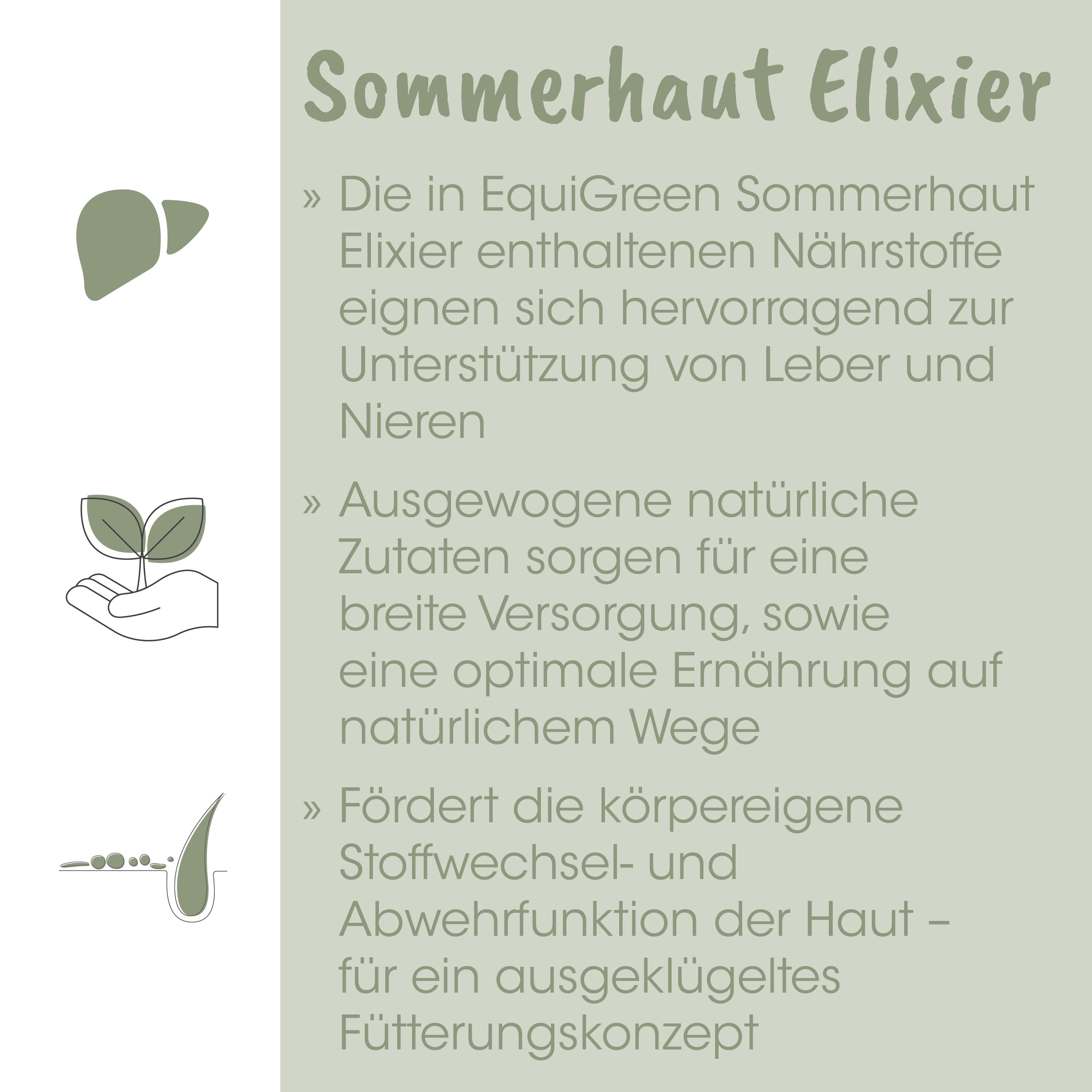 Sommerhut, Elixier, Natürliche Zutat, Pflanze, Nährstoffkonzept