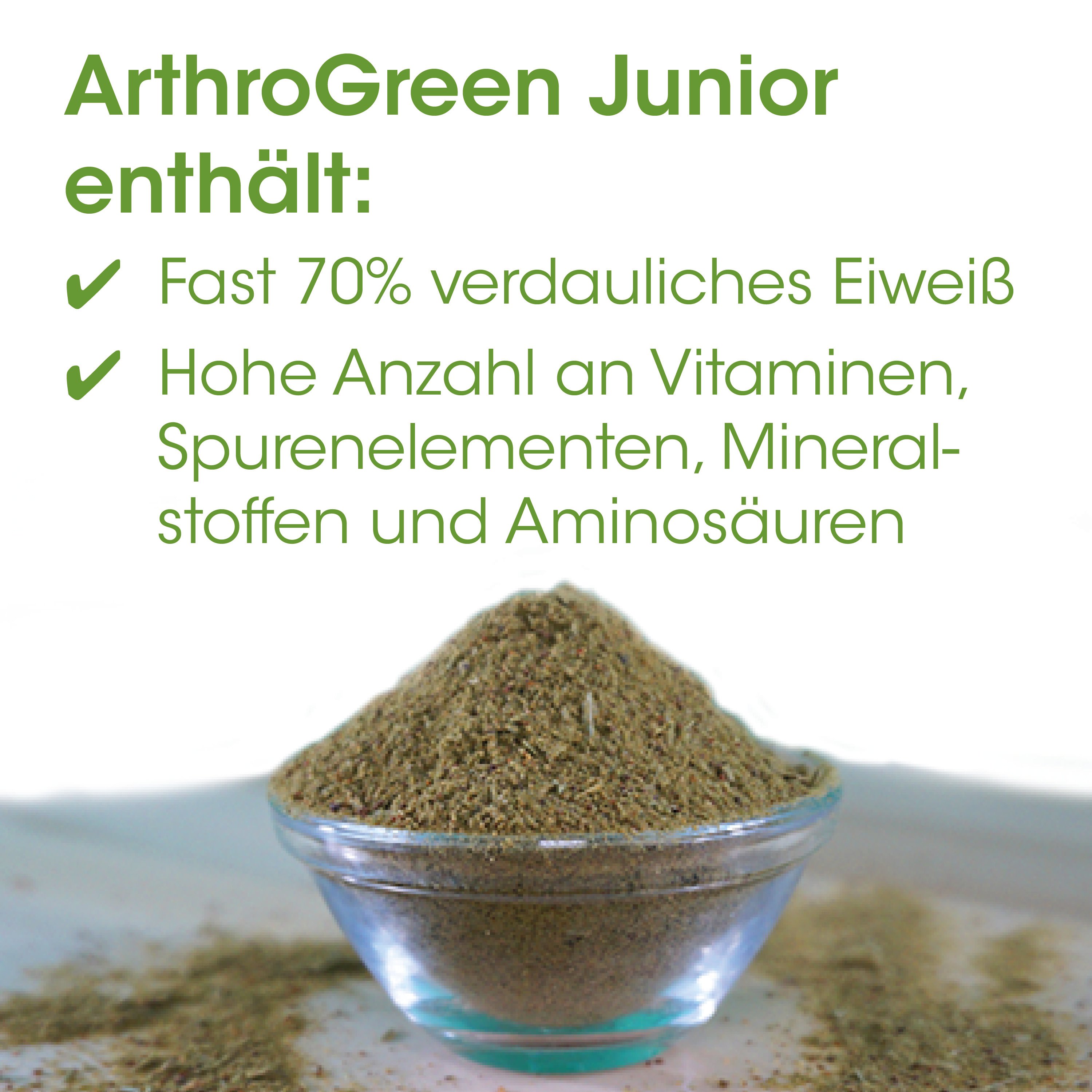 Protein, Pulver, Grün, Gewürz, Nahrungszusatz