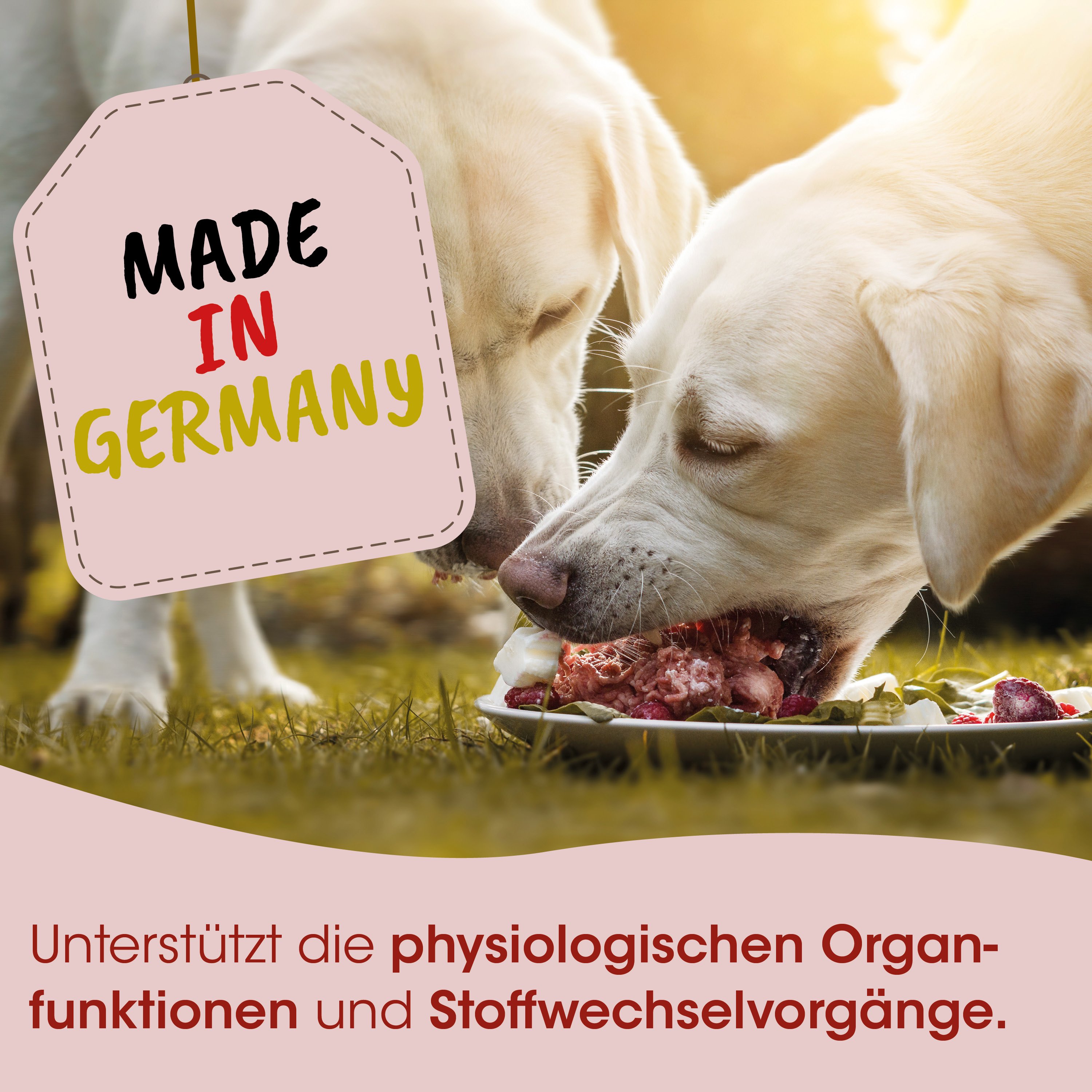 Hund, Hunde-Nahrung, Futterbrett, Fleischstücke, Made in Germany