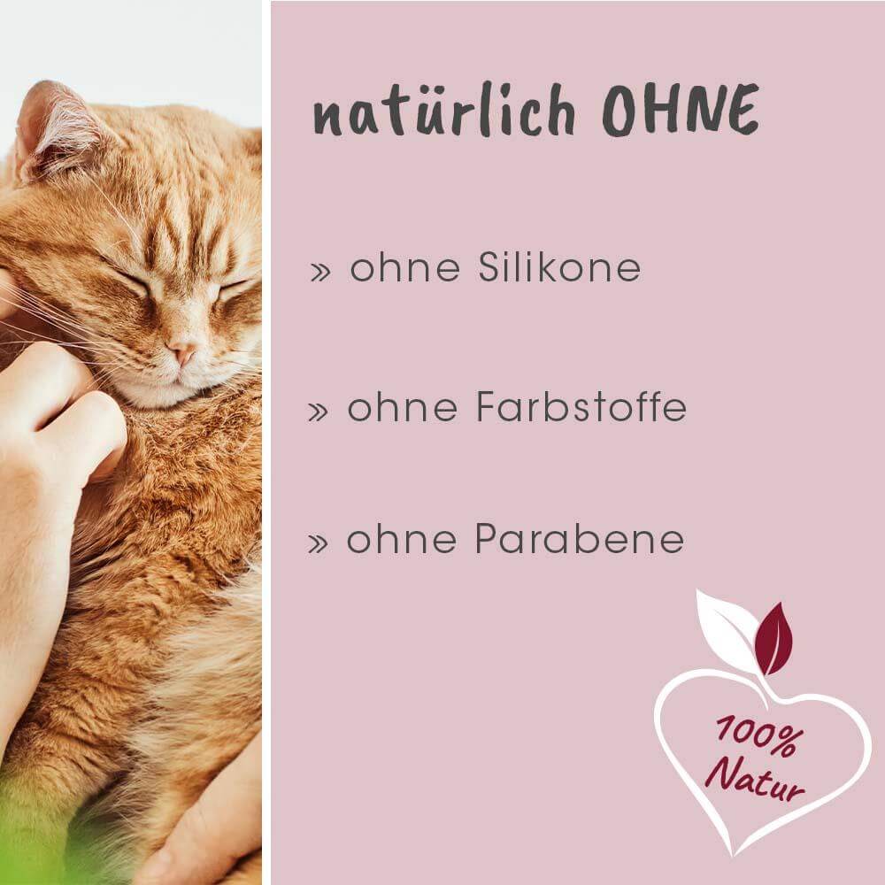 feliTATZ AbwehrKonzentrat 10 ml