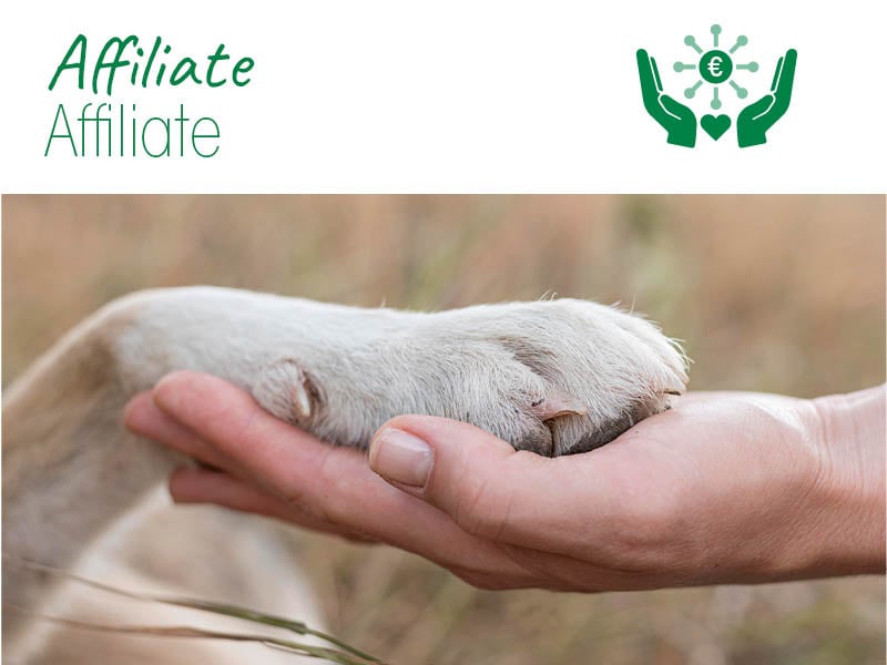 Elektronik, Hardware