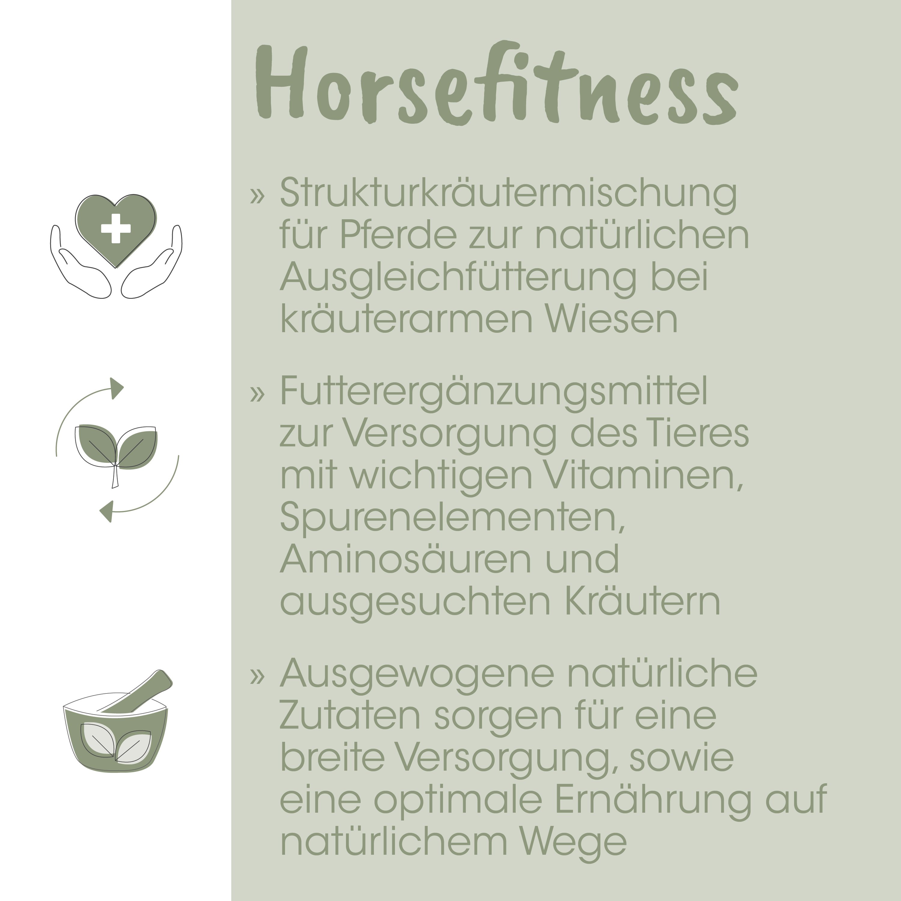 Pferd, Kraut, Nahrungsergänzung, Pulver, Mörser und Stößel