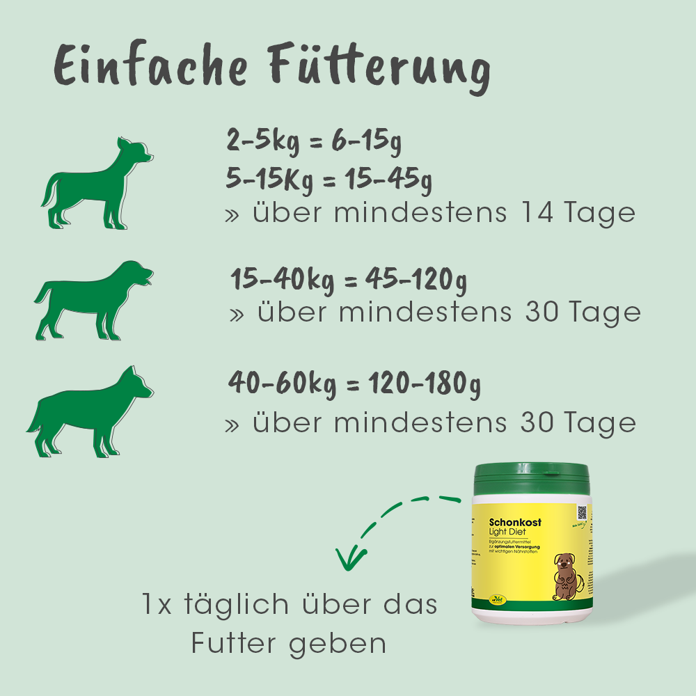 Kräuterig, Pflanze, Hund, Haustier, Werbung