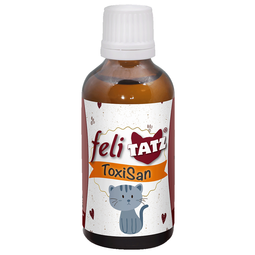 Essen, Würzen, Sirup, Flasche
