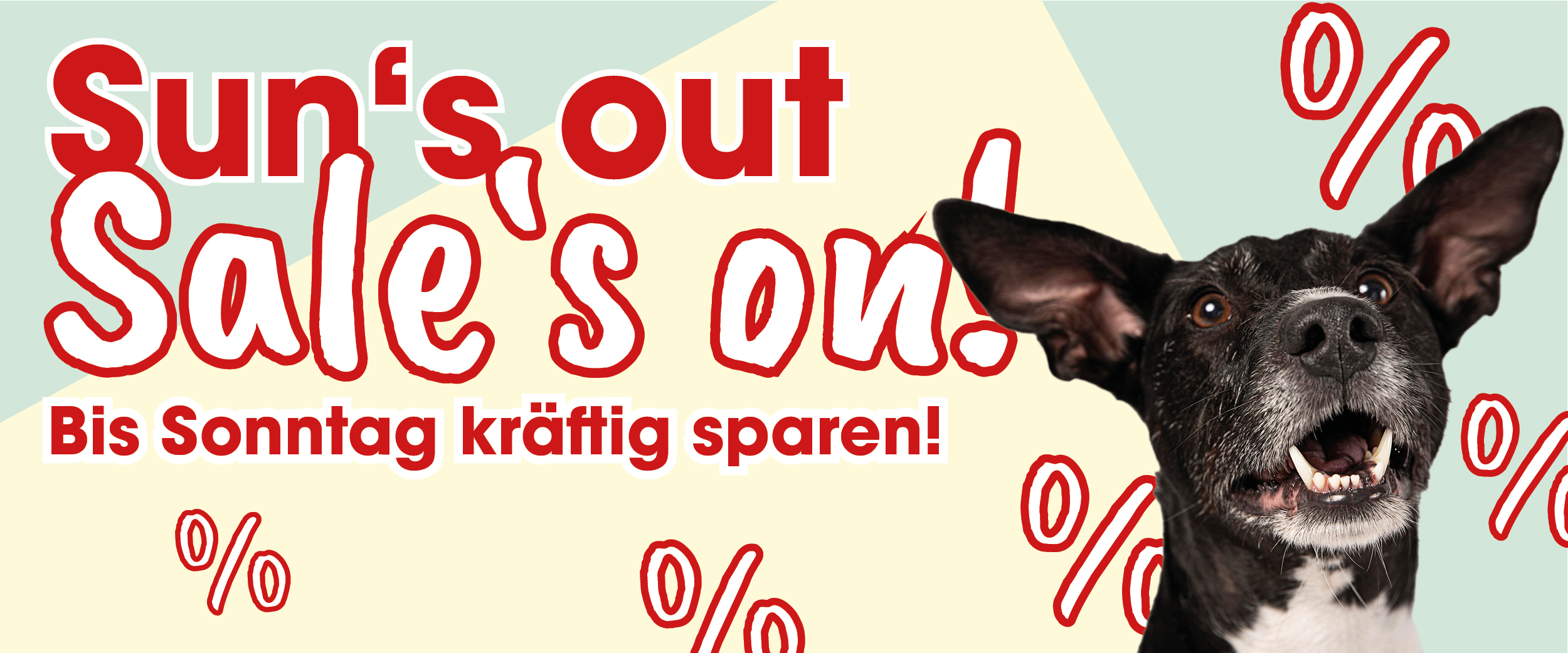 Hund, Säugetier, Haustier, Grusskarte, Post