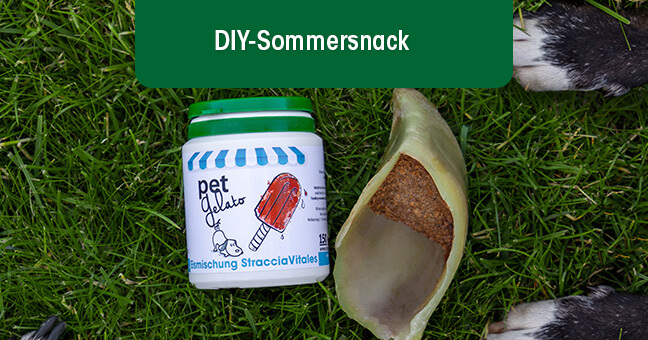 Gras, Pflanze, Essen, Obst, Produzieren