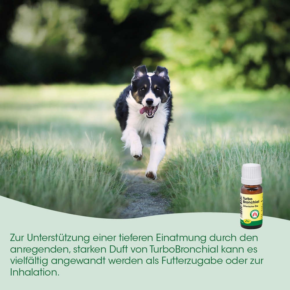 Hund, Tierarztprodukt?, Flasche Tropfen, Bronchialöl, Luftwege
