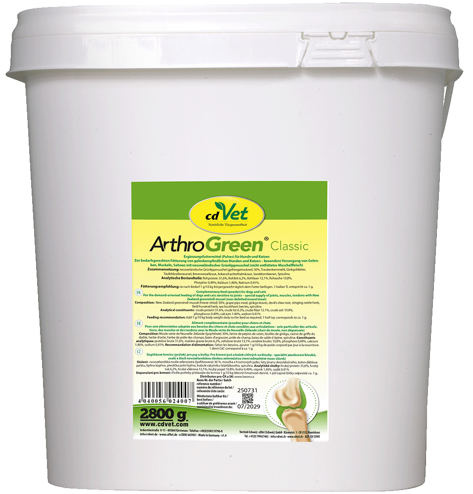 Kunststoffbehälter, Eimer, Bucket, Grün, ArthroGreen Classic