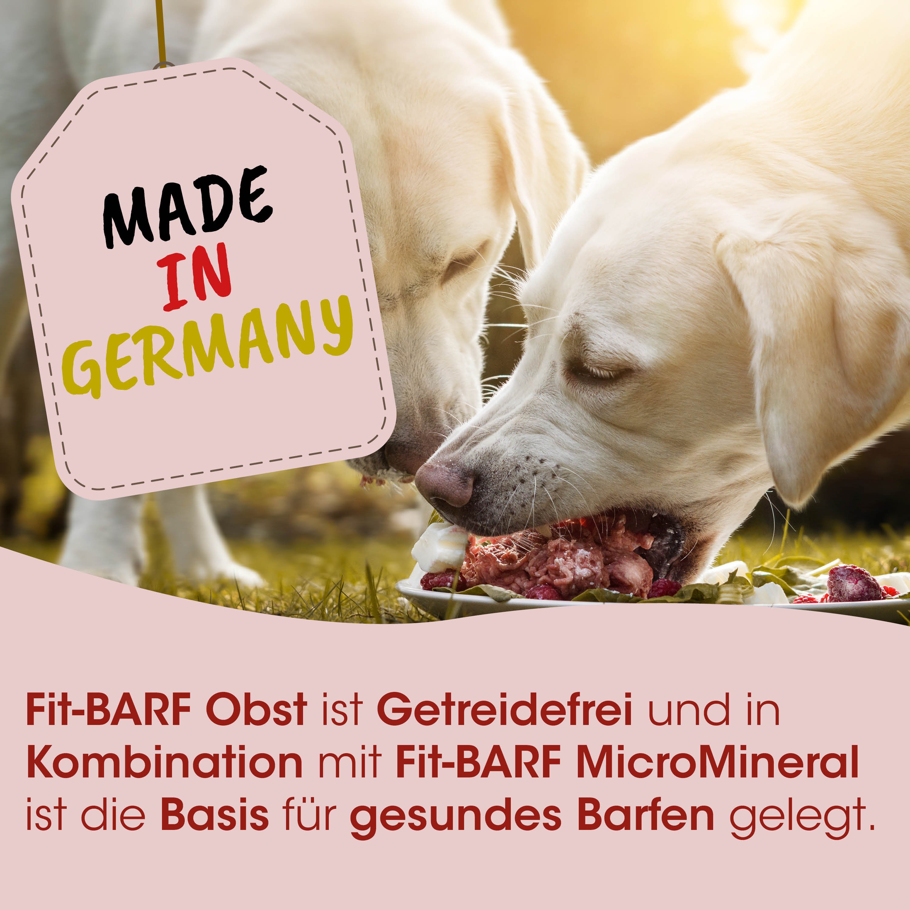 Hund, Hundefutter, Knabberstücke, Fleisch, Getreidefrei
