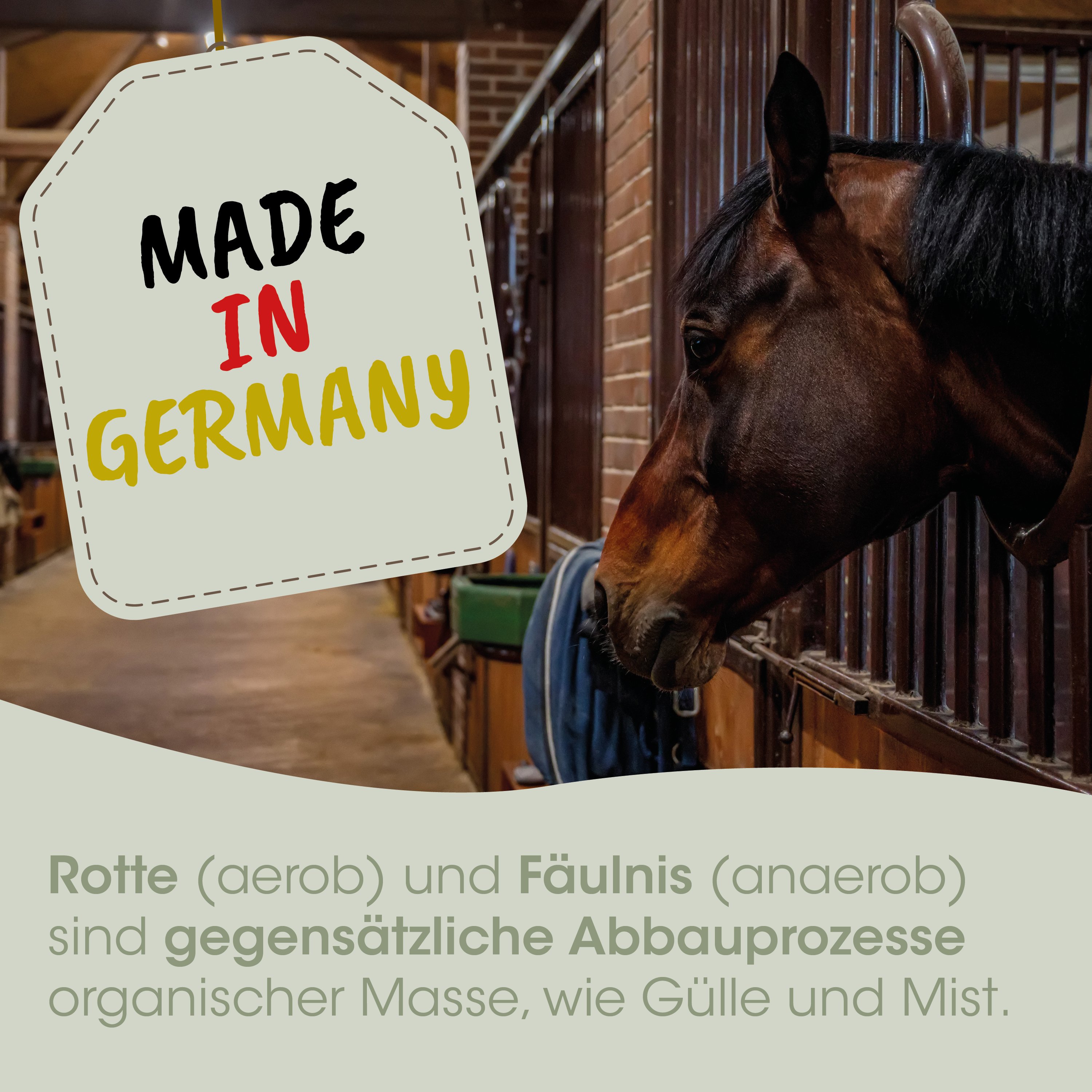 Pferd, Stall, braun, Kopfnah, Made in Germany