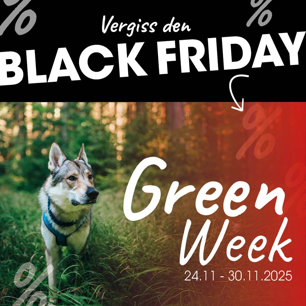 Hund, Husky, Haustier, Buch, Veröffentlichung